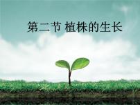 初中人教版 (新课标)第三单元 生物圈中的绿色植物第二章 被子植物的一生第二节 植株的生长评课ppt课件