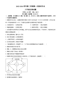 山东省东营市广饶县乐安街道乐安中学2023-2024学年八年级下学期3月月考生物试题（原卷版+解析版）