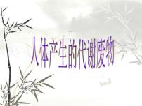 初中生物北师大版七年级下册第1节 人体产生的代谢废物课文配套课件ppt
