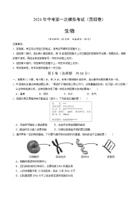 2024年中考第一次模拟考试题：生物（贵阳卷）（学生用）