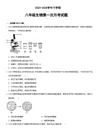 山东省德州市宁津县育新中学2023-2024学年八年级下学期3月月考生物试题