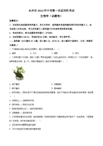 2024年湖南省永州市中考一模生物试题（原卷版+解析版）