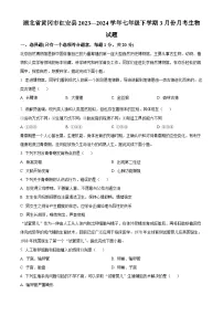 湖北省黄冈市红安县2023-2024学年七年级下学期3月月考生物试题（原卷版+解析版）