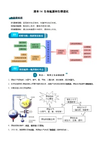 【2024会考】初中生物一轮复习知识清单 14 生命起源和生物进化（3大考点+5大高频命题点）