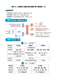 【2024会考】初中生物一轮复习知识清单 03 生物圈中有哪些绿色植物+被子植物的一生（6大考点+6大高频命题点）