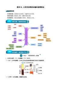 【2024会考】初中生物一轮复习知识清单 06 人体内的物质运输与废物排出（6大考点+6大高频命题点）