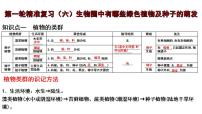 中考生物一轮复习考点通关课件专题06 生物圈中有哪些绿色植物及种子的萌发（含答案）