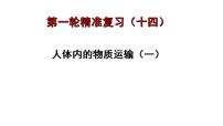 中考生物一轮复习考点通关课件专题14 人体内的物质运输（一)（含答案）