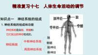 中考生物一轮复习考点通关课件专题17 人体生命活动调节（含答案）