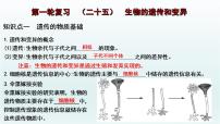 中考生物一轮复习考点通关课件专题25 生物的遗传和变异（含答案）