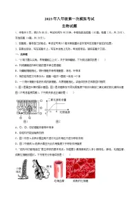 2023年徐州市中考一模生物试卷（含答案解析）