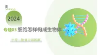 【2024年会考】初中生物一轮复习讲练测（全国通用）专题03 细胞怎样构成生物体（课件）