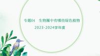 【2024年会考】初中生物 专题04 生物圈中有哪些绿色植物-课件