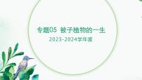 【2024年会考】初中生物 专题05 被子植物的一生-课件