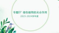 【2024年会考】初中生物 专题07 绿色植物的光合作用-课件