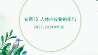 【2024年会考】初中生物 专题13 人体内废物的排出-课件