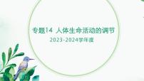 【2024年会考】初中生物 专题14 人体生命活动的调节-课件