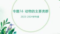 【2024年会考】初中生物 专题16 动物的主要类群-课件