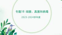 【2024年会考】初中生物 专题18 细菌、真菌和病毒-课件