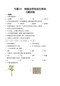 【2024会考】初中生物 专题03 细胞怎样构成生物体（原卷+解析版）