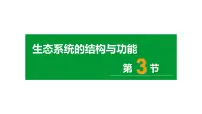 生物八年级下册第3节 生态系统的结构和功能示范课课件ppt