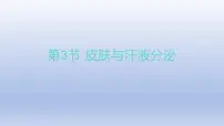 初中生物第3节 皮肤与汗液分泌背景图ppt课件