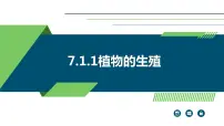 初中生物人教版 (新课标)八年级下册第一节 植物的生殖图片ppt课件