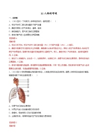 中考生物一轮复习巩固练习专题11 人体的呼吸（含解析）