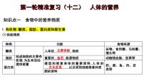 【2024会考】初中生物 考点专题12 人体的营养-课件