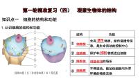 【2024会考】初中生物 考点专题04 观察生物的结构-课件