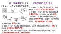 【2024会考】初中生物 考点专题09 绿色植物的光合作用-课件