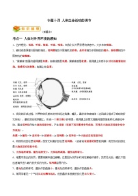 中考生物一轮复习抓重点考典型专题14 人体生命活动的调节（含解析）