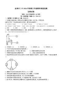 四川省宜宾市第二中学校2023-2024学年八年级下学期4月月考生物试题