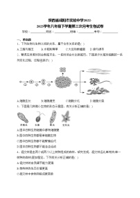 陕西省咸阳市实验中学2022-2023学年八年级下学期第三次月考生物试卷(含答案)