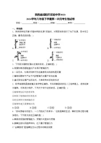 陕西省咸阳市实验中学2023-2024学年八年级下学期第一次月考生物试卷(含答案)