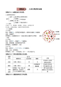 中考生物一轮复习考试易错题易错点10 人体内的物质运输（含解析）