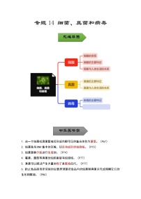 中考生物一轮复习核心考点梳理与必背专题14 细菌、真菌和病毒