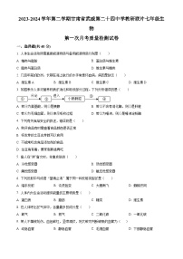 甘肃省武威第二十四中学教研联片2023-2024学年七年级下学期3月月考生物试题（原卷版+解析版）