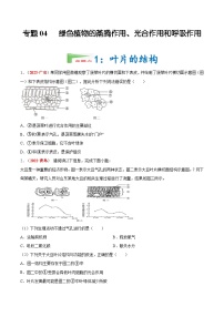 专题04 绿色植物的蒸腾作用、光合作用和呼吸作用（原卷版+解析版）试卷-三年（2021-2023）中考生物真题分项汇编（全国通用）