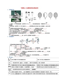 专题02 生物体的结构层次试卷-【晨读晚默】2023年中考生物必背知识清单（填空版+答案版）