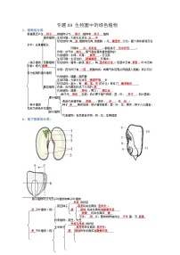 专题03 生物圈中的绿色植物试卷-【晨读晚默】2023年中考生物必背知识清单（填空版+答案版）