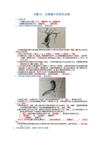 专题05 生物圈中的其他生物试卷-【晨读晚默】2023年中考生物必背知识清单（填空版+答案版）