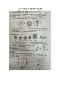 江苏省盐城市建湖县2023-2024学年七年级下学期4月期中生物试题