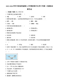 2024年甘肃省武威市凉州区武威第九中学教研联片中考一模生物试题（原卷版+解析版）