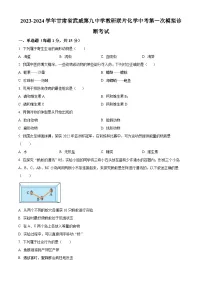 2024年甘肃省武威市凉州区武威第九中学教研联片中考一模生物试题（原卷版+解析版）