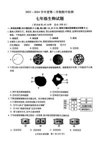 江苏省徐州市沛县2023-2024学年七年级下学期期中考试生物试题