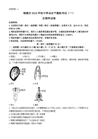 2024年陕西省渭南市韩城市中考一模生物试卷