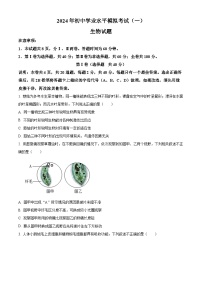 2024年山东省潍坊市中考一模生物试题（原卷版+解析版）