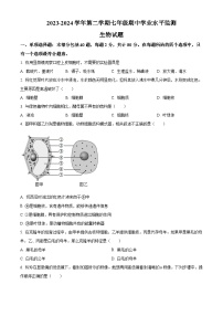 江苏省宿迁市泗阳县2023-2024学年七年级下学期4月期中生物试题（原卷版+解析版）