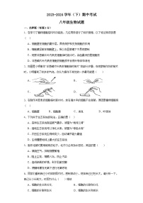 福建省华安县2023-2024学年八年级下学期期中生物试题